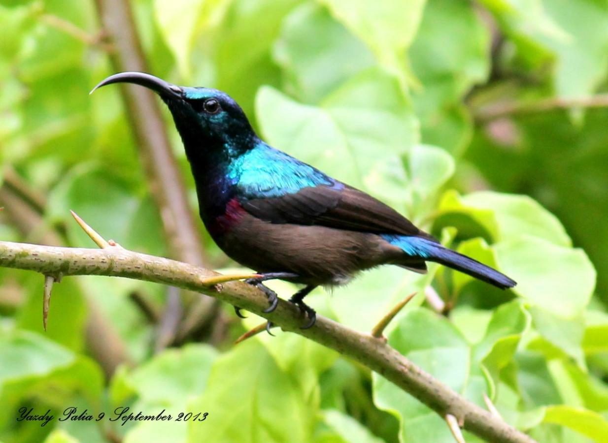 Woodside Wayanad Batheri